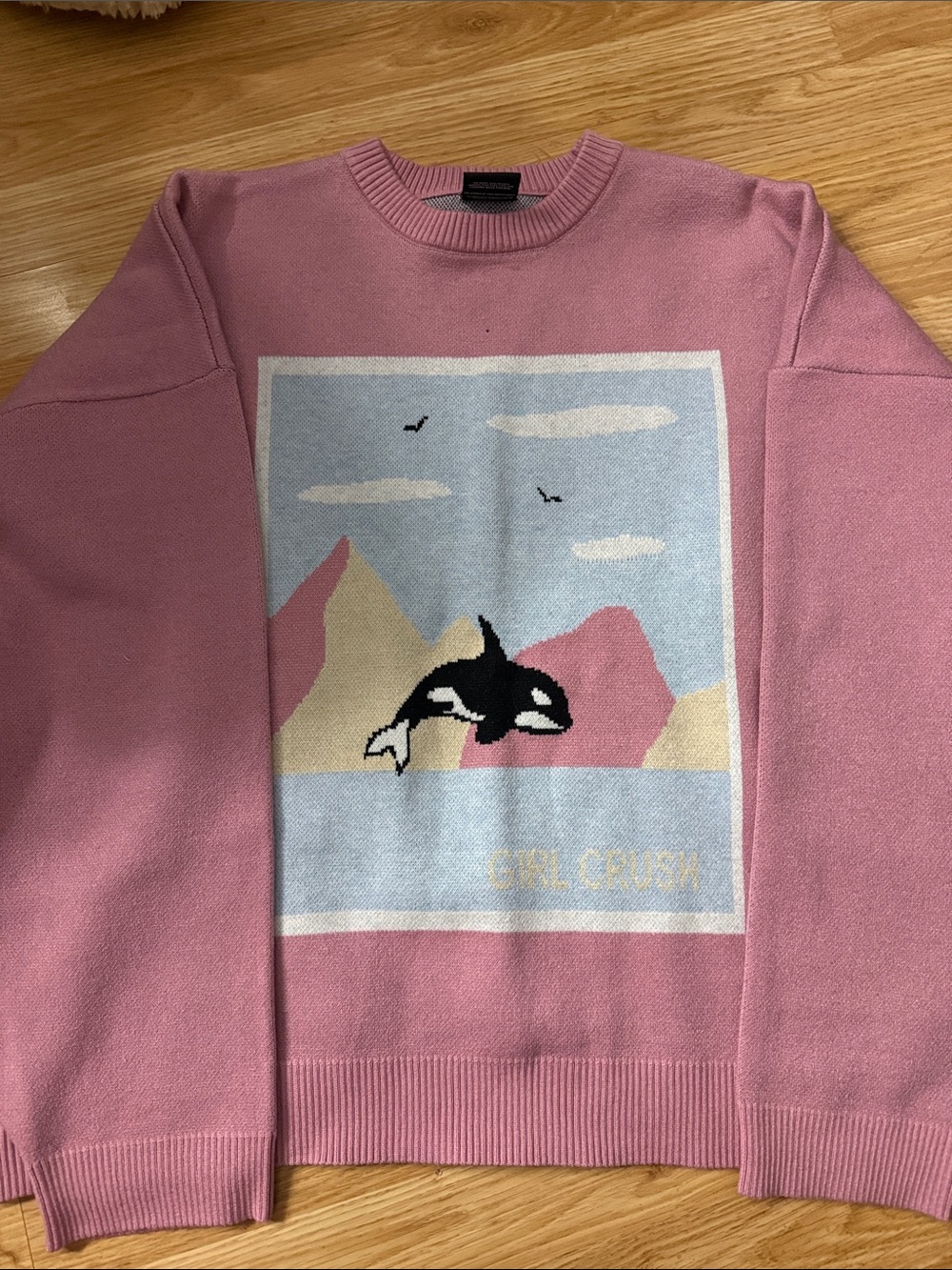 Soft Pink Crewneck Sweater with Orca Graphic